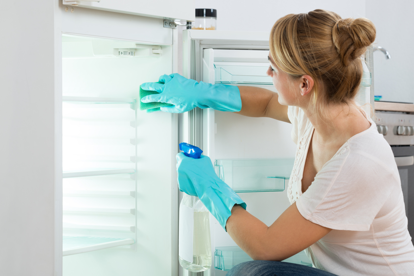 refrigerator maintenance