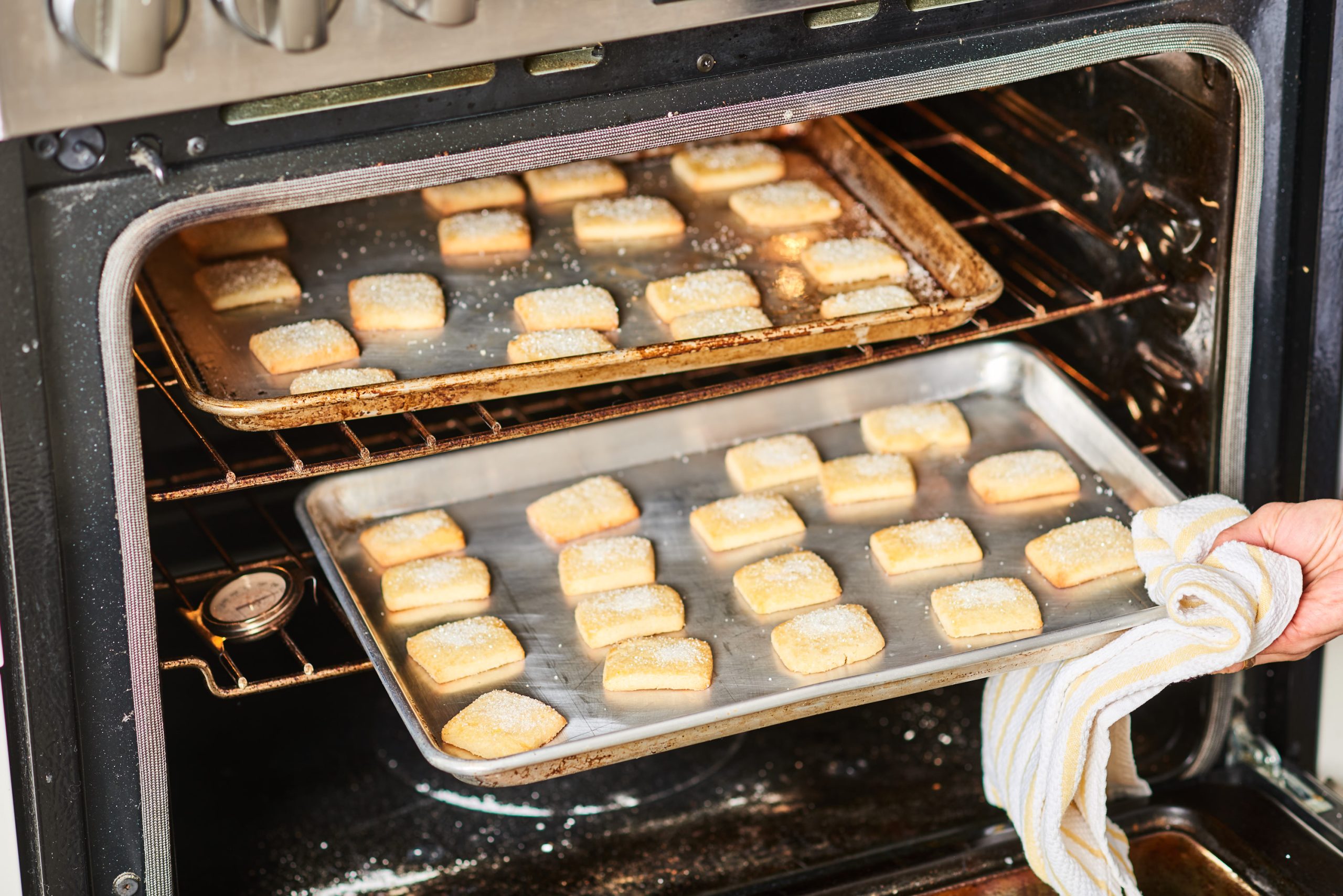 Your Convection Oven Cooking Questions Answered