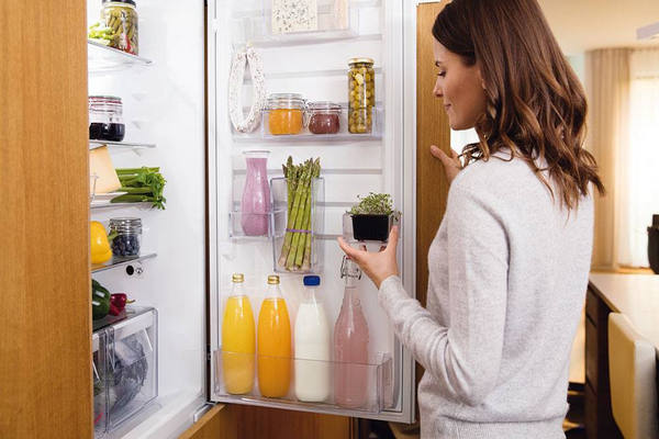 refrigerator girl